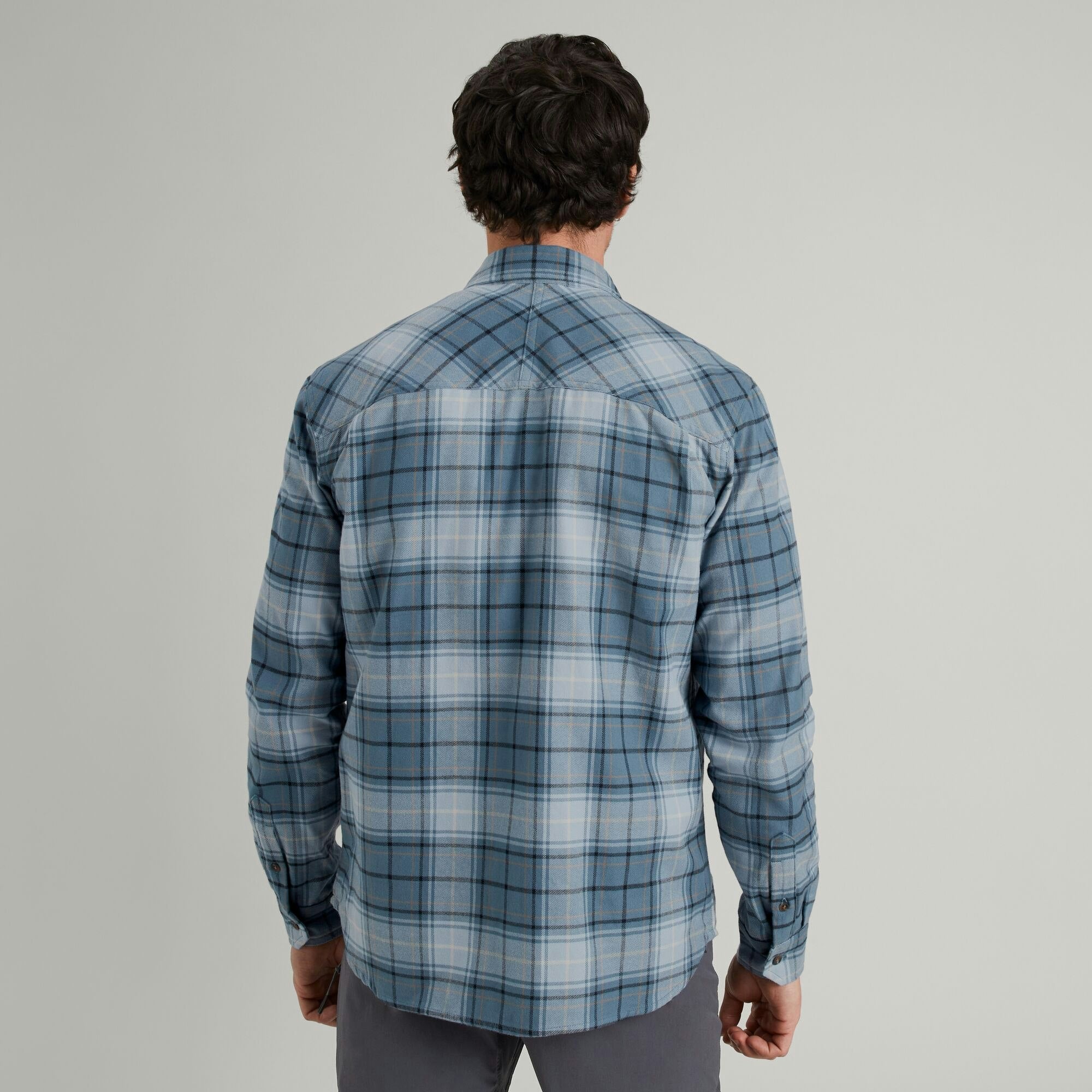 #color_Ripple/Meteor Check
