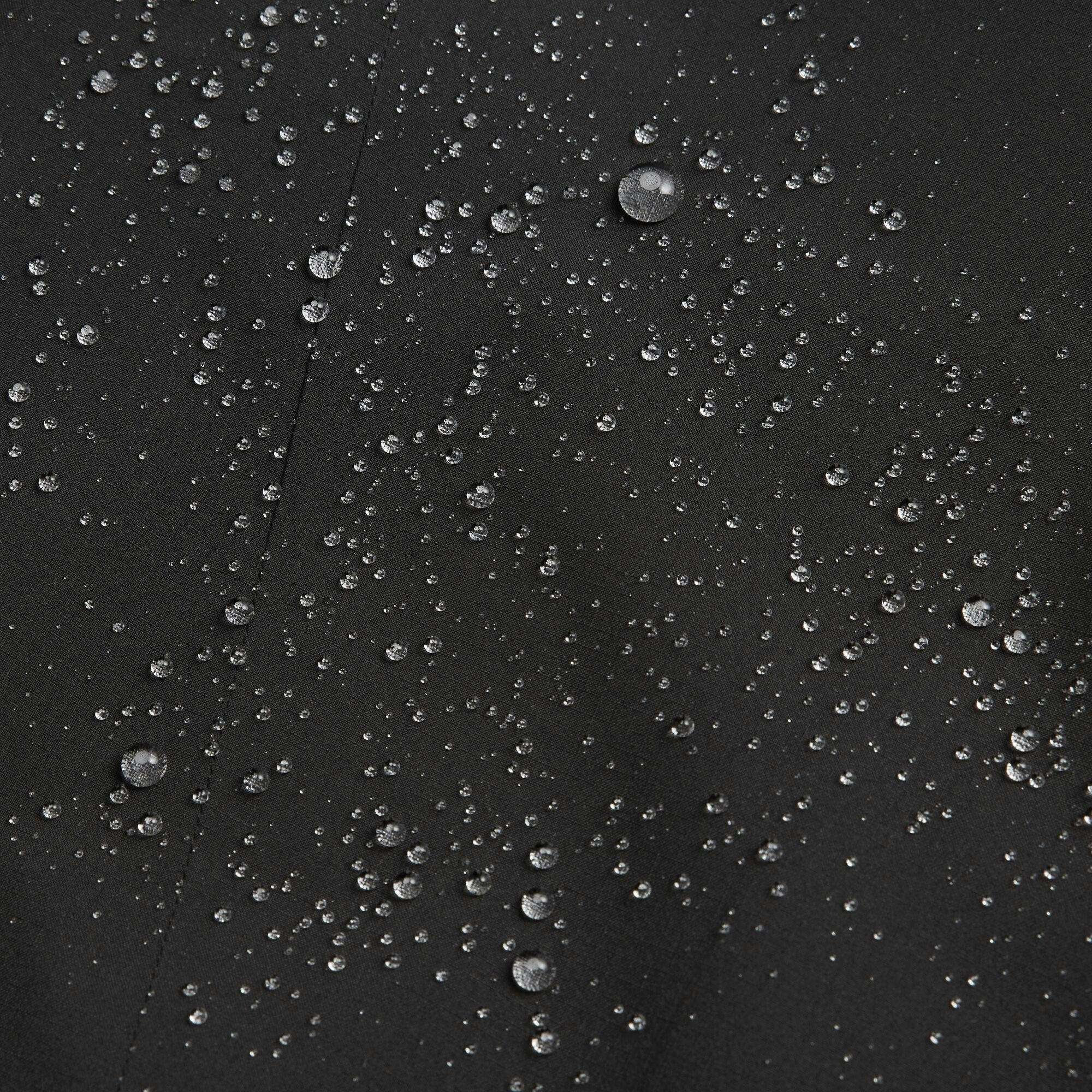 #color_Black Stingray